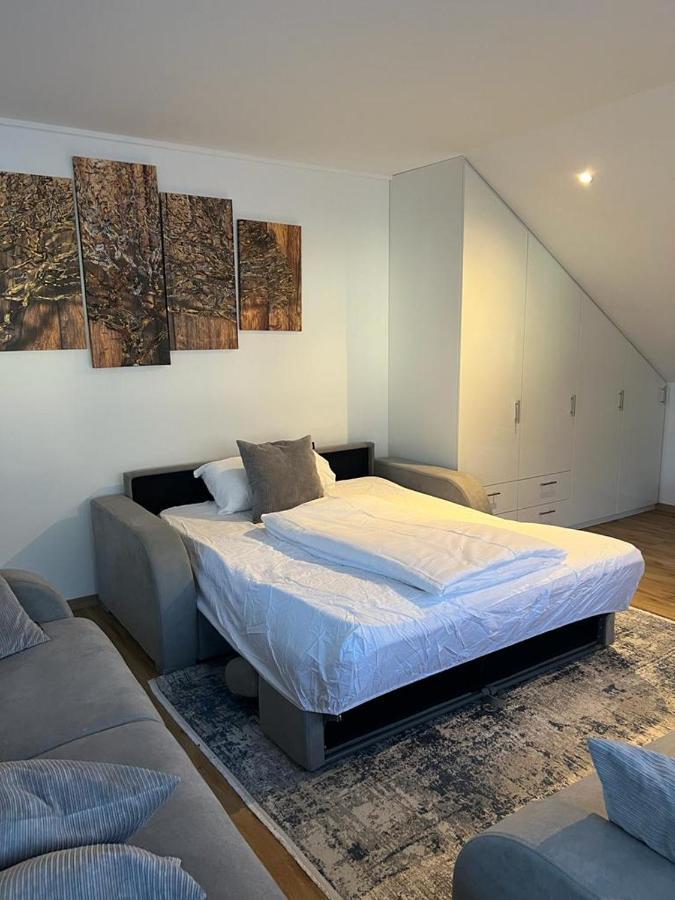 Ferienwohnung Alpina 费尔德基希 外观 照片